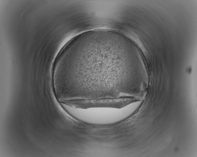 X0000098161483200805011419