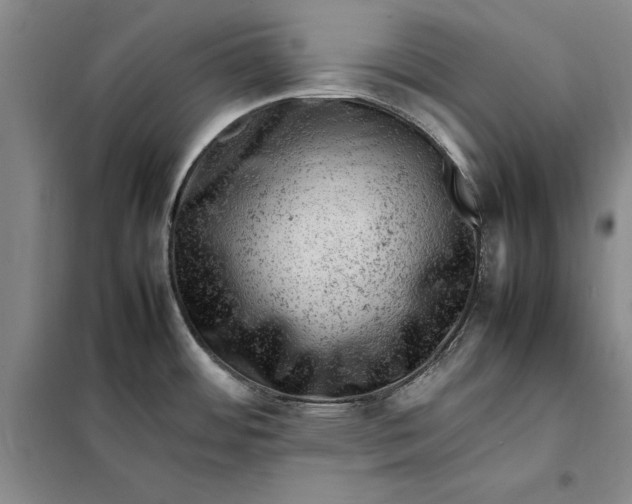 X0000098161484200805011419
