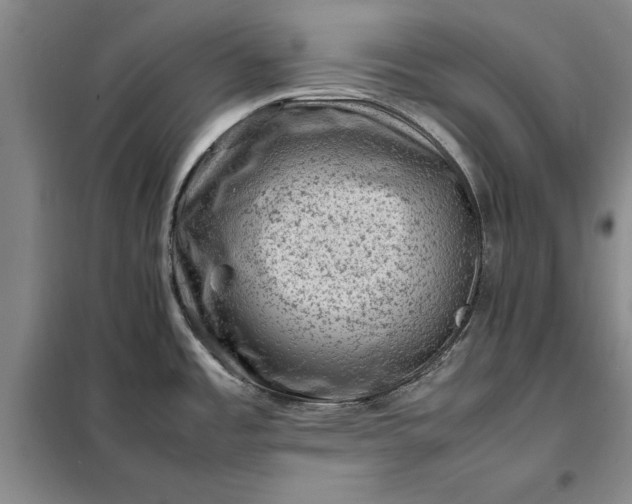 X0000098161485200805011419