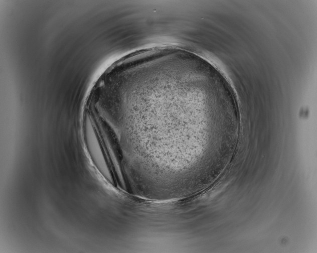 X0000098161488200805011419