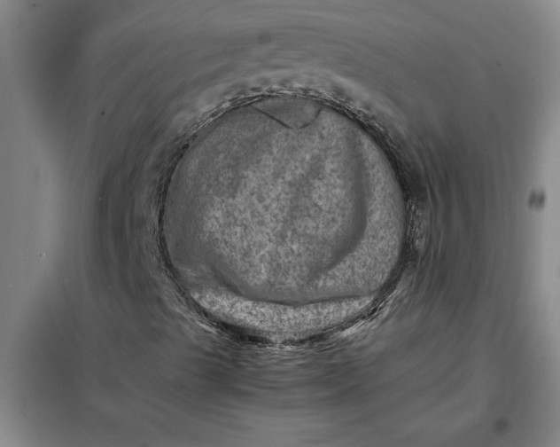 X0000098161489200805011418