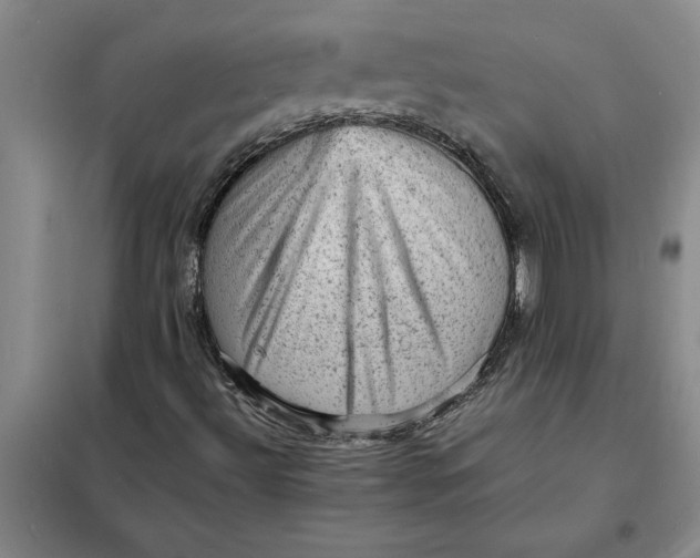 X0000098161492200805011418