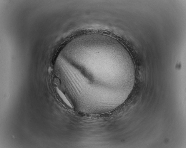 X0000098161493200805011418