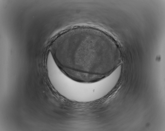 X0000098161494200805011418