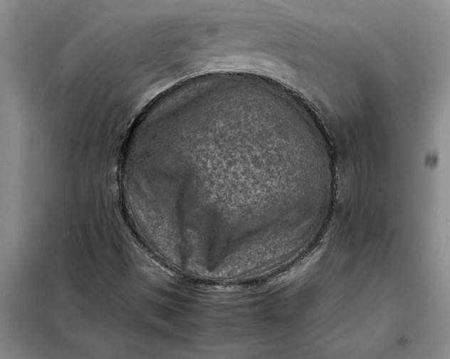 X0000098161497200805011418
