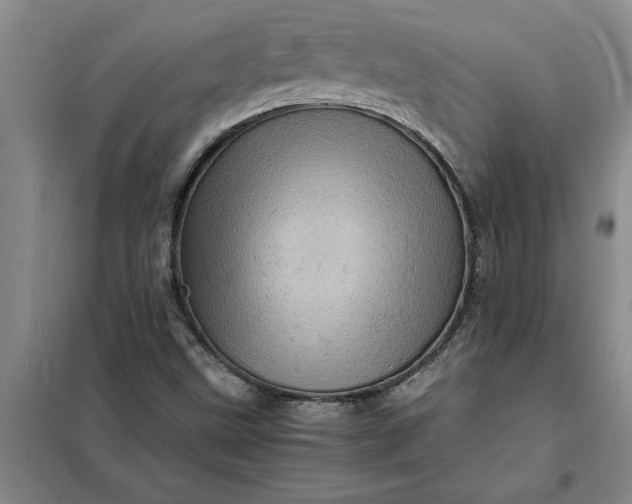 X0000098161499200805011418