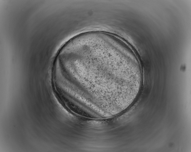 X0000098161500200805011418