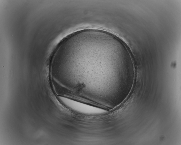 X0000098161503200805011418