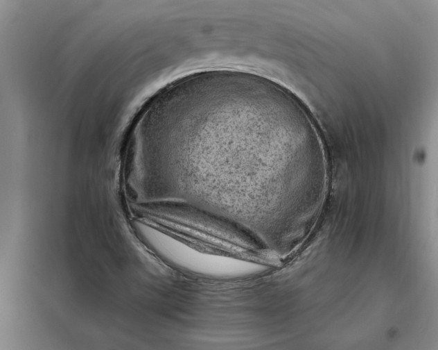 X0000098161507200805011418