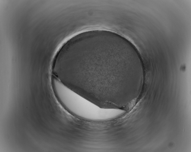 X0000098161508200805011418