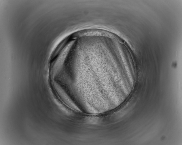 X0000098161511200805011418