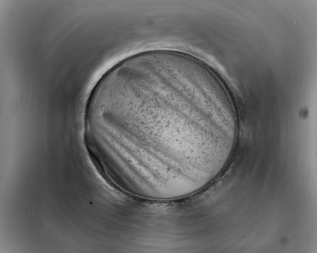 X0000098161512200805011418