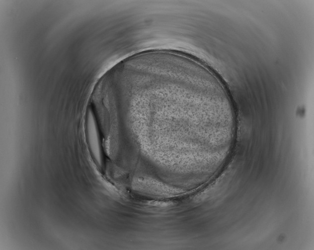 X0000098161513200805011419
