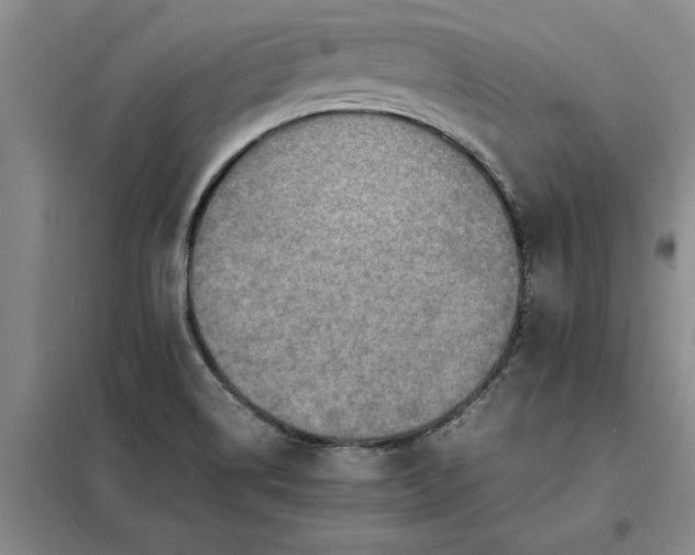 X0000098161514200805011419