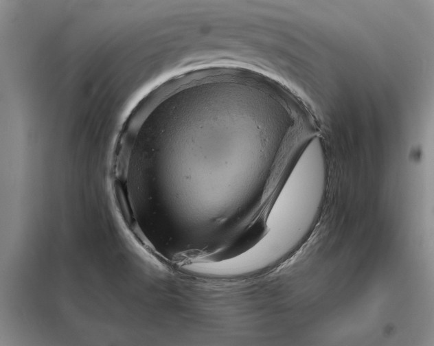 X0000098161518200805011419