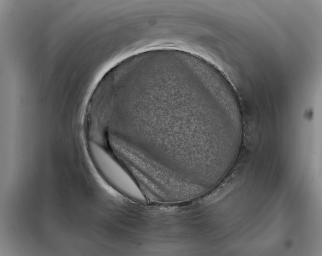X0000098161519200805011419