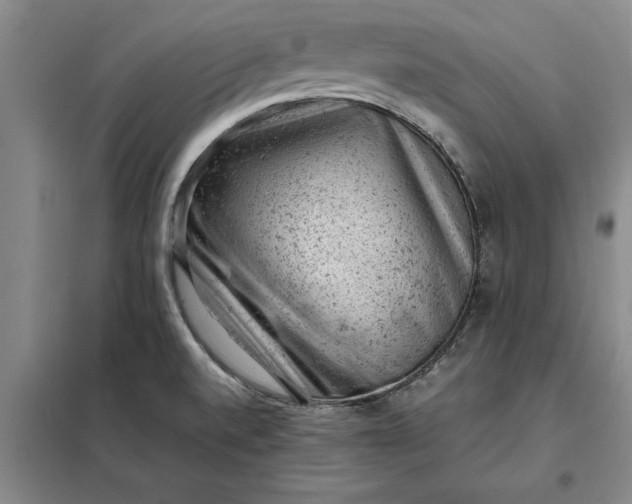 X0000098161520200805011419