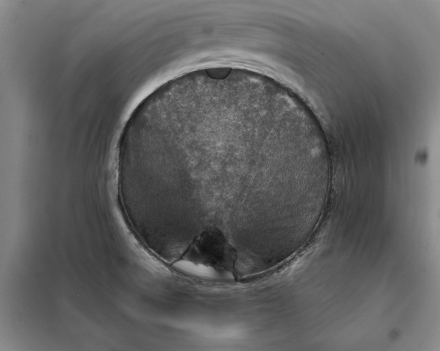 X0000098161522200805011419