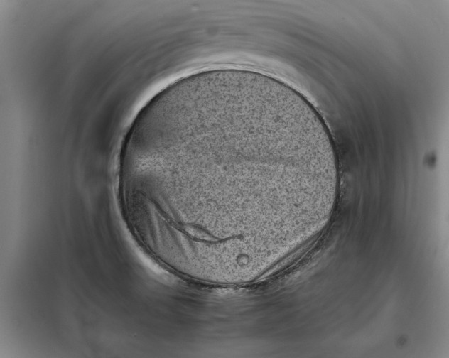 X0000098161523200805011419