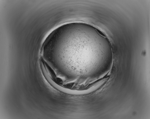 X0000098161524200805011419