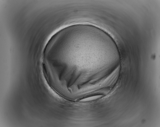 X0000098161526200805011419