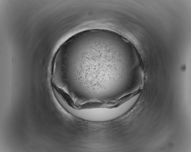 X0000098161528200805011419