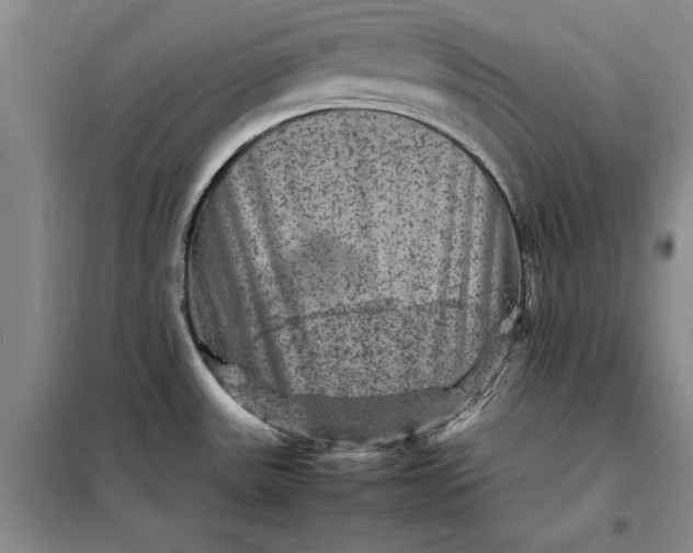 X0000098161531200805011419