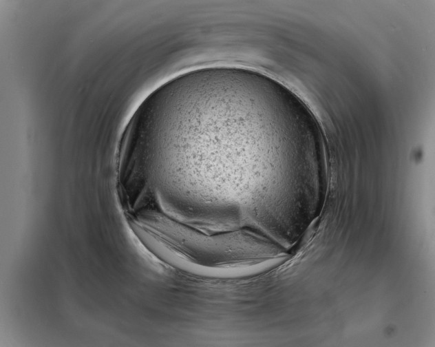 X0000098161532200805011419