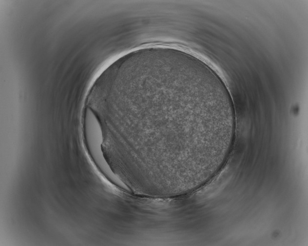 X0000098161533200805011419