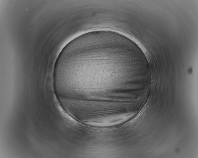 X0000098161534200805011419