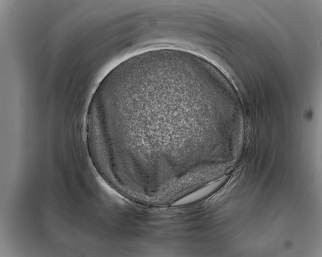 X0000098161535200805011419
