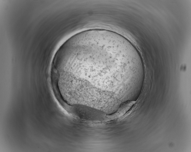 X0000098161536200805011419