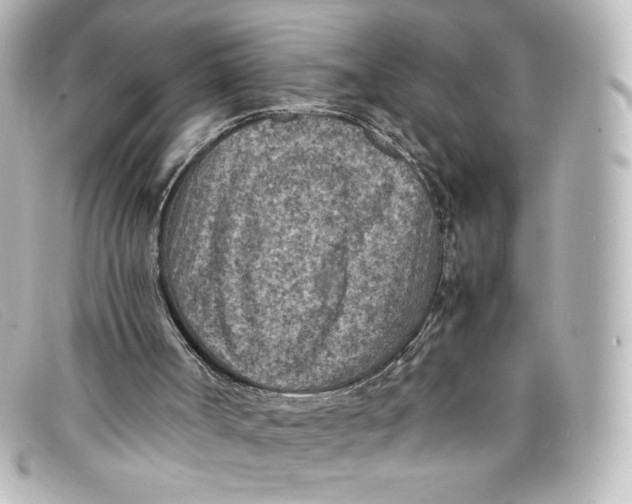 X0000098160002200805081114