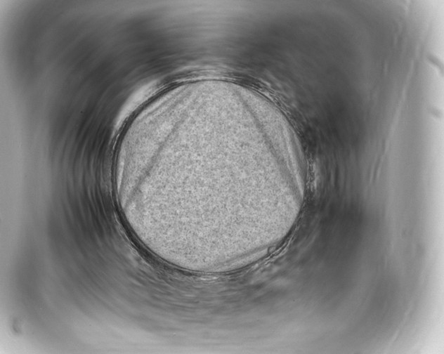 X0000098160004200805081114