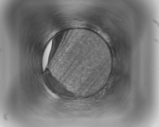 X0000098160009200805081114