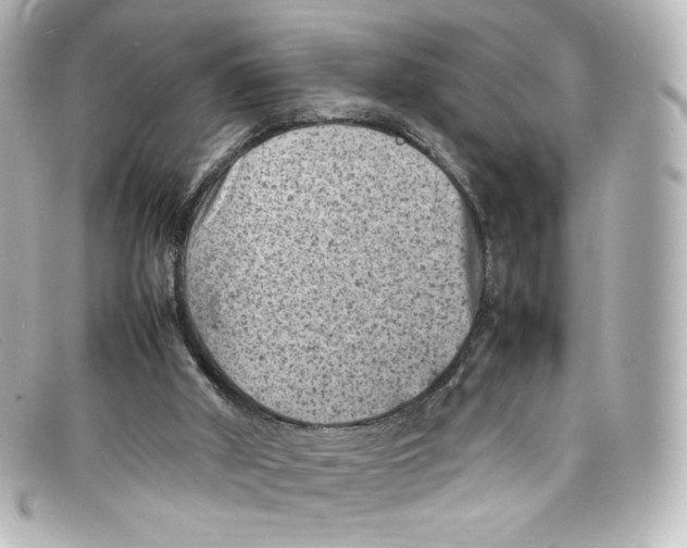 X0000098160010200805081114