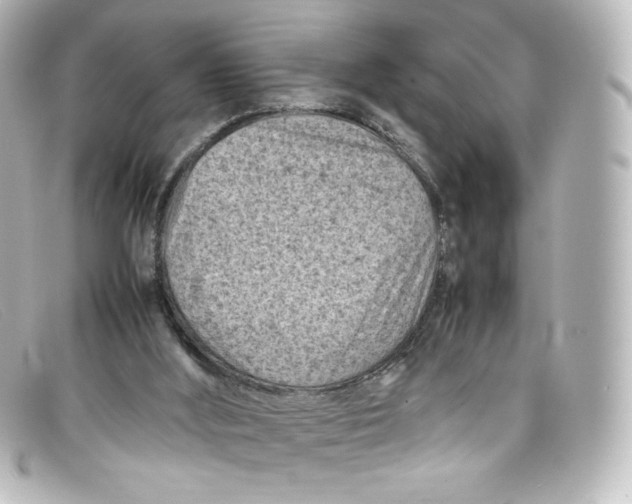 X0000098160012200805081114
