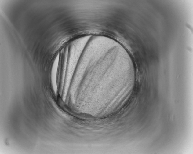 X0000098160013200805081114