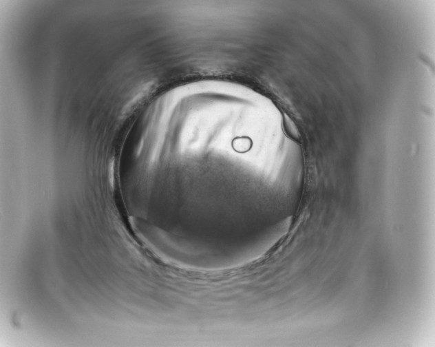 X0000098160019200805081114