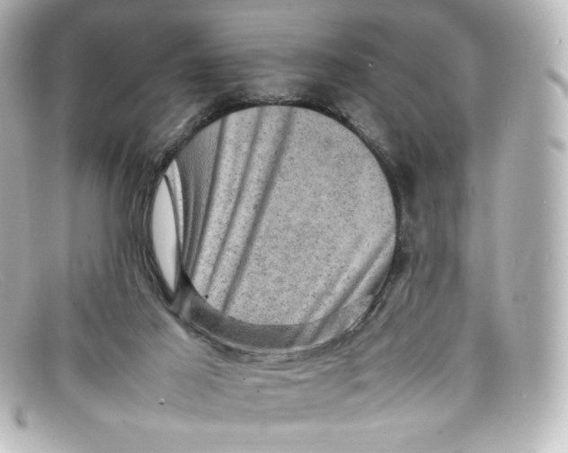 X0000098160021200805081114