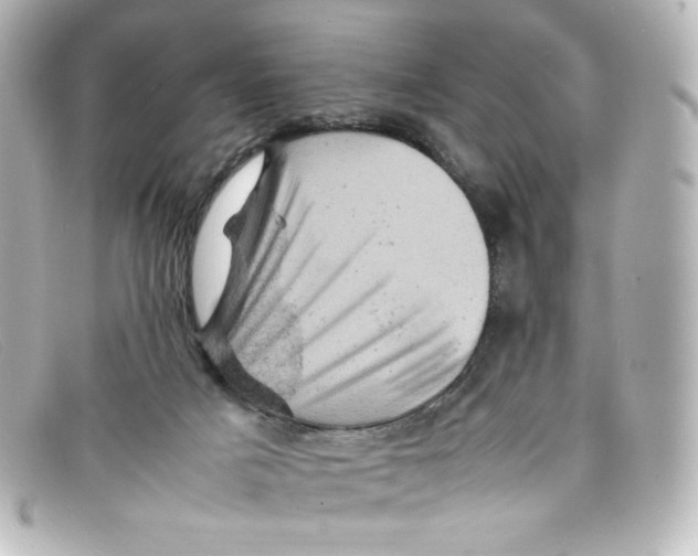 X0000098160025200805081113