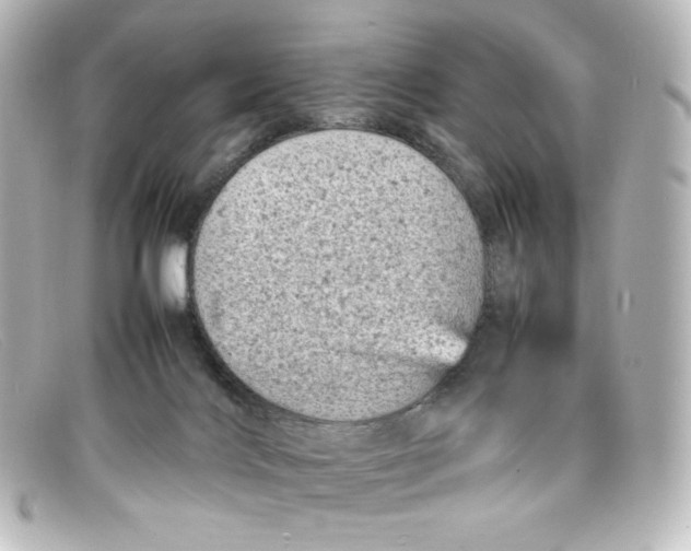 X0000098160028200805081113