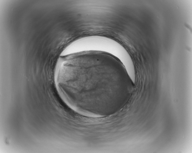 X0000098160031200805081113