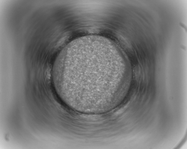 X0000098160032200805081113