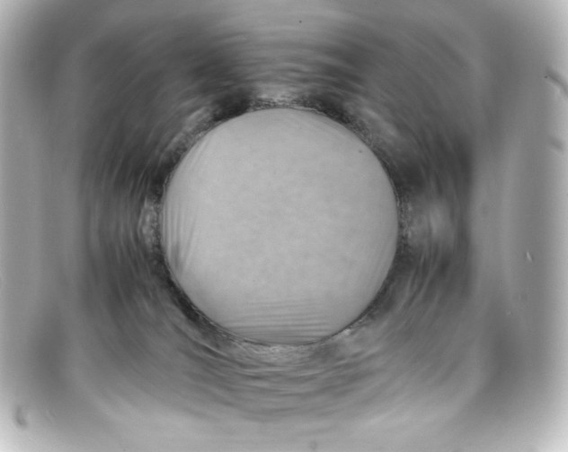 X0000098160036200805081113