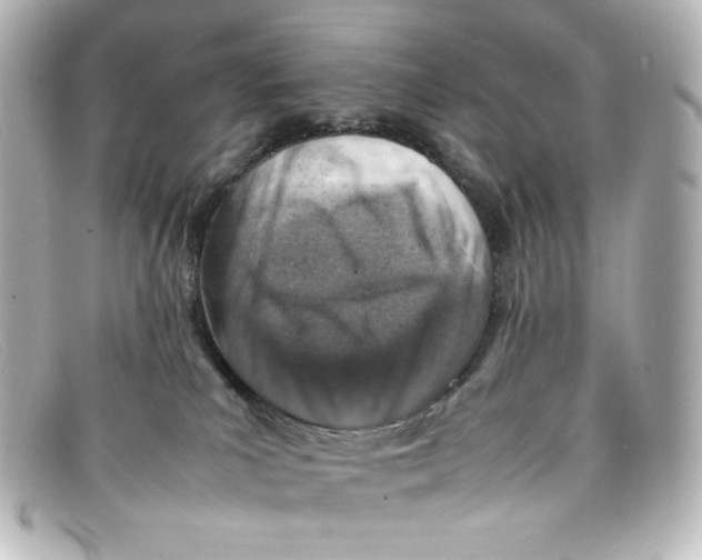 X0000098160039200805081113