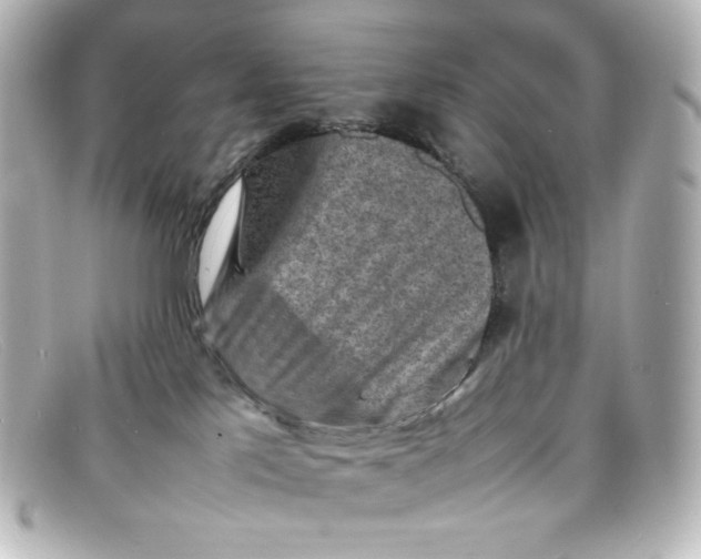 X0000098160041200805081113