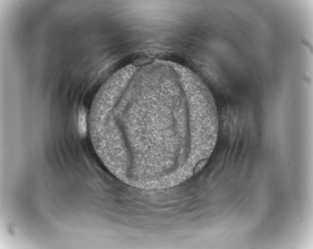 X0000098160042200805081113