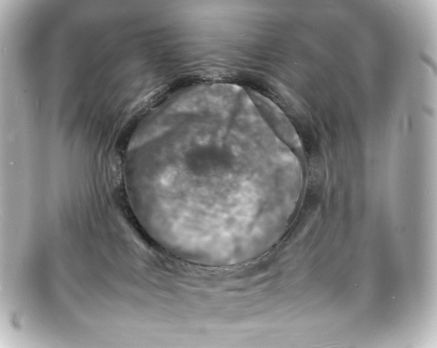 X0000098160043200805081113