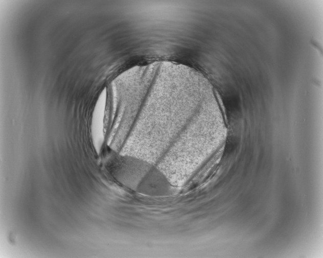 X0000098160045200805081113